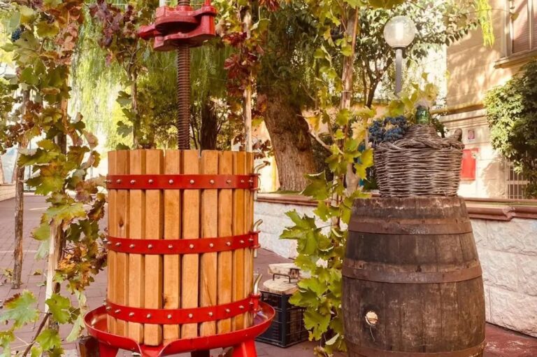 I piccoli della Scuola dell’Infanzia hanno partecipato all’evento più atteso della stagione autunnale: LA VENDEMMIA. Il giardino della nostra scuola si è trasformato in una vigna e loro sono diventati vignaioli per un giorno. I bambini hanno potuto raccogliere i grappoli d’uva, pigiarli all’interno di grandi vasche, filtrare il succo ottenuto ed infine imbottigliare il vino ricavato! Odori e colori sono stati lo sfondo di un incredibile gioco di squadra! Quanta meraviglia negli occhi di tutti i presenti!