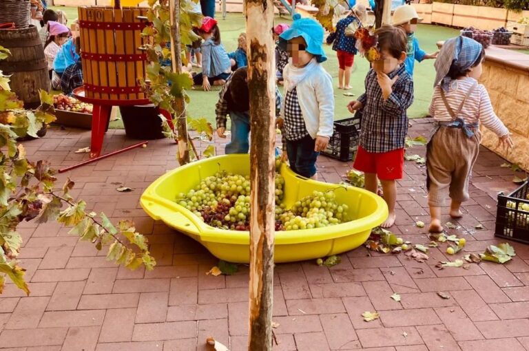 I piccoli della Scuola dell’Infanzia hanno partecipato all’evento più atteso della stagione autunnale: LA VENDEMMIA. Il giardino della nostra scuola si è trasformato in una vigna e loro sono diventati vignaioli per un giorno. I bambini hanno potuto raccogliere i grappoli d’uva, pigiarli all’interno di grandi vasche, filtrare il succo ottenuto ed infine imbottigliare il vino ricavato! Odori e colori sono stati lo sfondo di un incredibile gioco di squadra! Quanta meraviglia negli occhi di tutti i presenti!